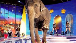 вторник, 20 април 2010 г., 23:30 - Тази вечер в ”Господари на ефира”