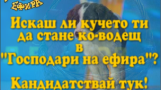 “ГОСПОДАРИ НА ЕФИРА” ОБЯВЯВА КАСТИНГ ЗА НОВО КУЧЕ