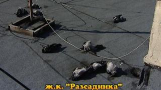 Тази вечер в „Господари на ефира“...