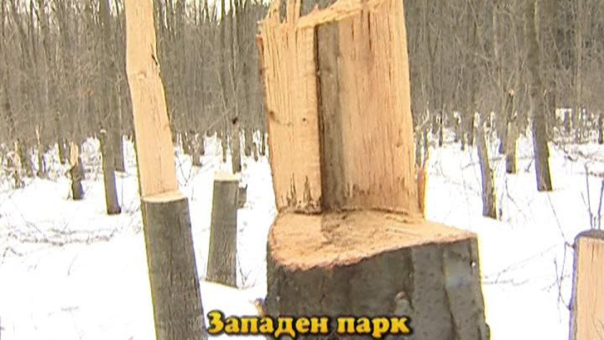 Тази вечер в „Господари на ефира“...