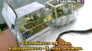 Тази вечер в „Господари на ефира“...