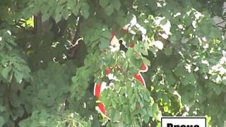 Тази вечер в „Господари на ефира”…