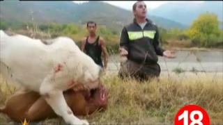 Тази вечер в „Господари на ефира”...