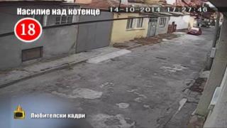 Пореден акт на насилие над животно