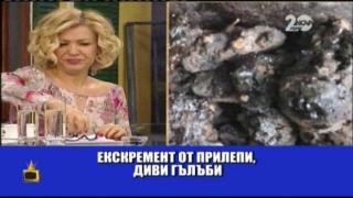 Гала и едно екзотично лекарство
