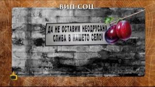 Изтупано от нафталина - лозунги от близкото минало