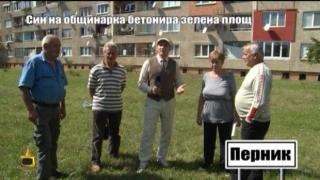 Син на общинарка бетонира зелена площ