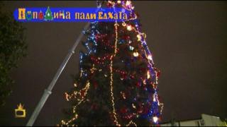 Пополина Вокс пали елхата