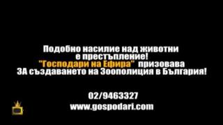 „Господари на ефира”  призовават за създаването на Зоополиция