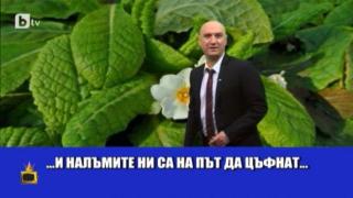 Шоуто на Емо Чолаков