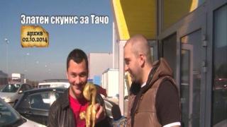 Наздраве за Тачо и златния му скункс!