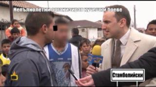 Непълнолетни организират кучешки боеве