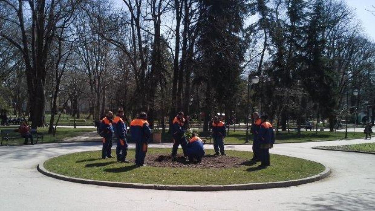 Залесяване на Цар Симеоновата градина