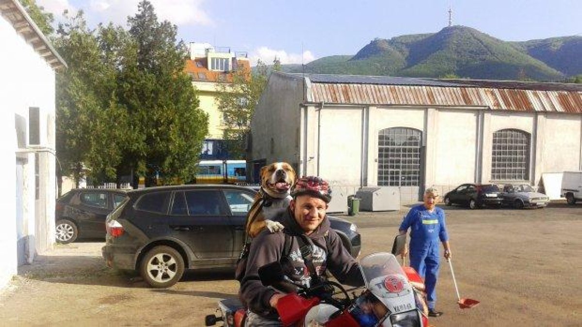 ПОЗИТИВЕН ВЕЛИКАНОЯД ЛИ СИ, ИЛИ..!?