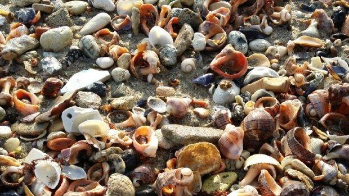 Морски дарове