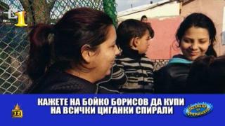 За Борисов избирателен вот, за ромките спирали
