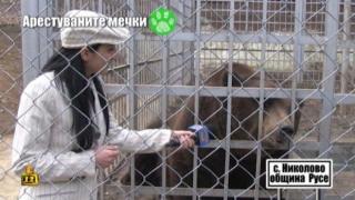 Арестуваните мечки