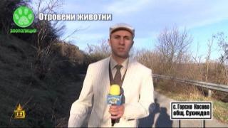 Отровени животни