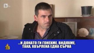 Един кмет с пушка и убита сърна в багажника