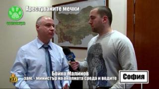 Арестуваните мечки - 2