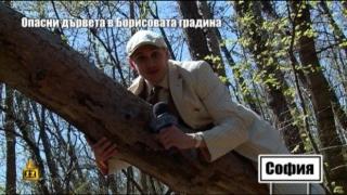 Какви опасности крие Борисова градина за разхождащите се