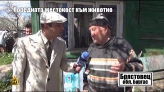 Заровеното живо куче - продължение