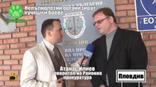 НЕПЪЛНОЛЕТНИ ОРГАНИЗИРАТ КУЧЕШКИ БОЕВЕ - 2