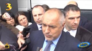 Магнолията донесе лош късмет на Борисов