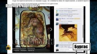 Как медиите превърнаха печен заек в грозна новина за печено куче