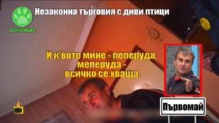 НЕЗАКОННА ТЪРГОВИЯ С ДИВИ ПТИЦИ - 2