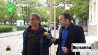 Арест и присъда за незаконна търговия с птици след материал на Господари на ефира