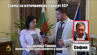 От 265 общини само 133 разпределят пасищата за фермерите справедливо