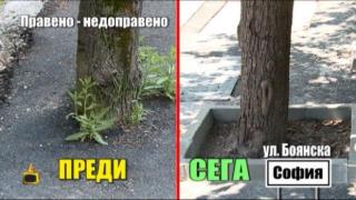 Влади Василев търси решение на абсурден ремонт в Бояна
