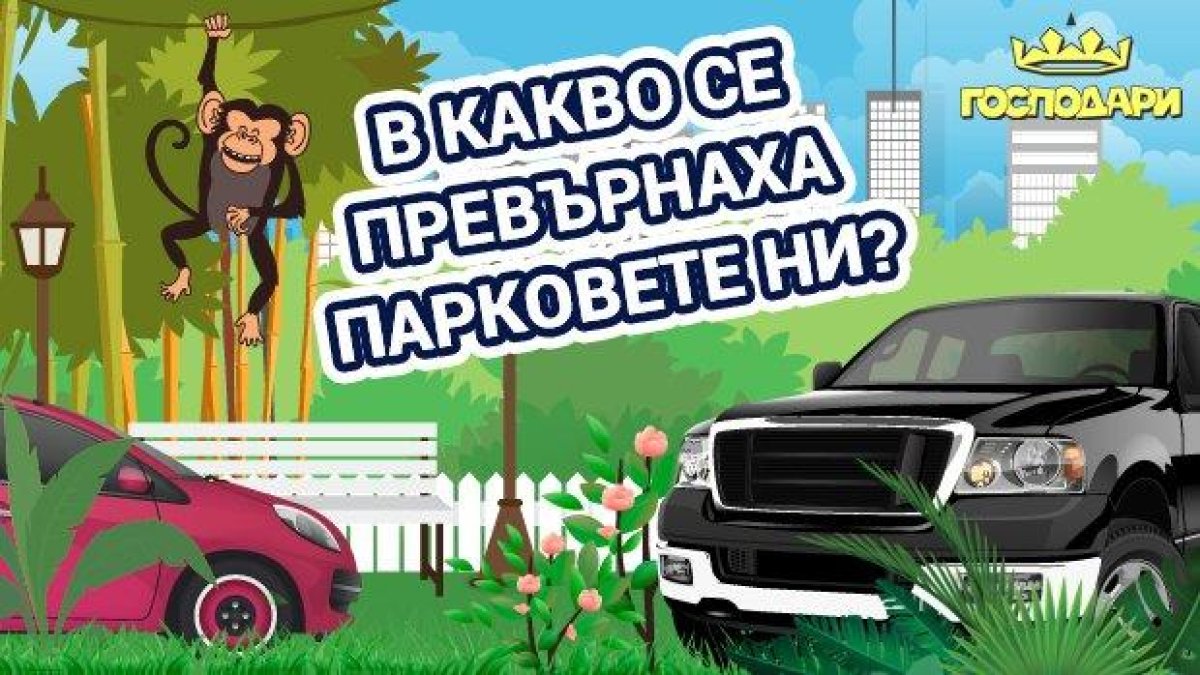 Джунгли или паркинги - в какво се превърнаха парковете ни?