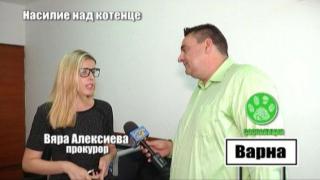 Брутален убиец на котка е без обвинение седем месеца