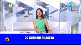 Може ли лъвът Славчо да бъде с две и камион да побере 22 000 прасета?