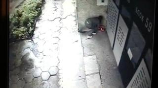 Жена изоставя пред блок куче в кашон