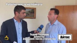 Господарите притиснаха с въпроси шефа на Горското в Айтос