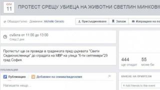 Стяга се протест срещу Светлин Минков