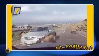Овен чупи автомобил
