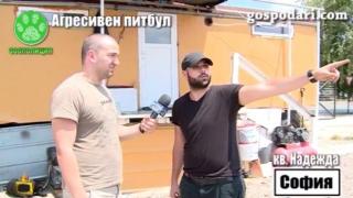 Хора се оплакват от питбул