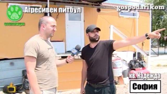 Хора се оплакват от питбул