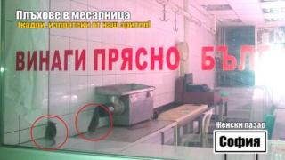 Уникално: Плъхове щъкат свободно в месарница