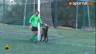 ИзСпортен свят: Необичайните неща във футбола