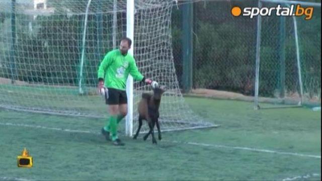 ИзСпортен свят: Необичайните неща във футбола