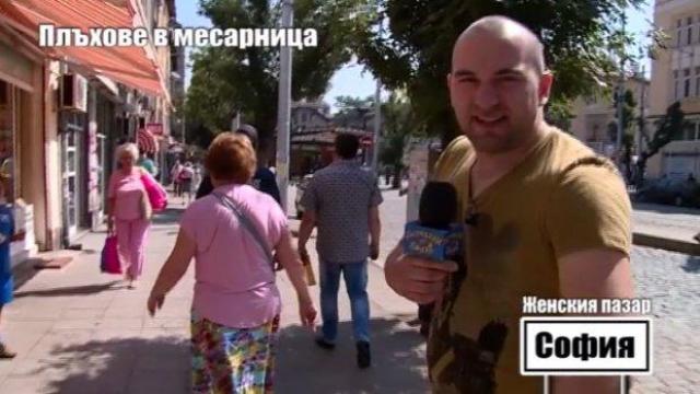 Господарите викат полиция и инспектори за месарницата с плъховете