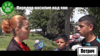 Само в Gospodari.com: Роми измъчват кон в Петрич?