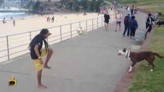 Куче се прави на спортист