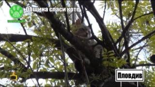 Господари на ефира отново помага за спасяването на животно в беда