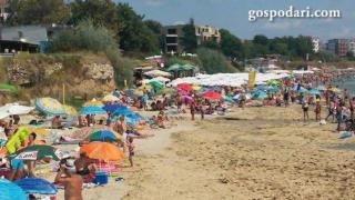 Водорасли смущават летовниците в Равда (СНИМКИ)